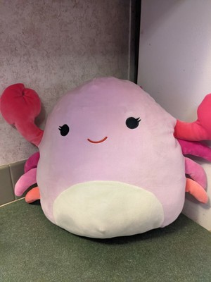 Kellytoy Cailey The Pink Crab 14'' Squishmallow With Tags