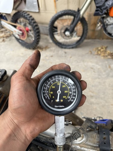 Artikelfoto(s) von einem verifizierten Käufer