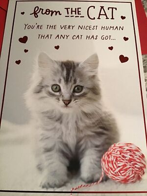 Valentine s Day From The Cat Friend Loved One 5 x7  Hallmark Greeting Card