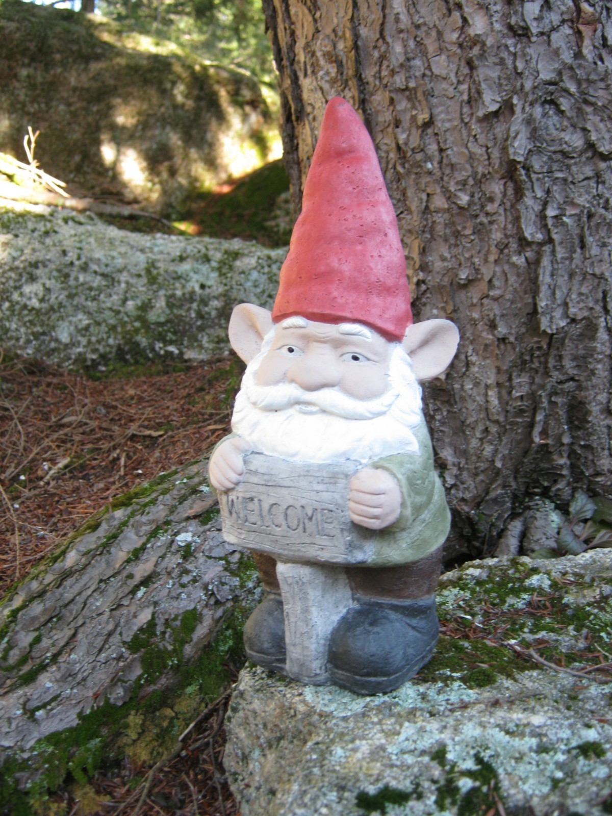 Welcome Garden Gnome 