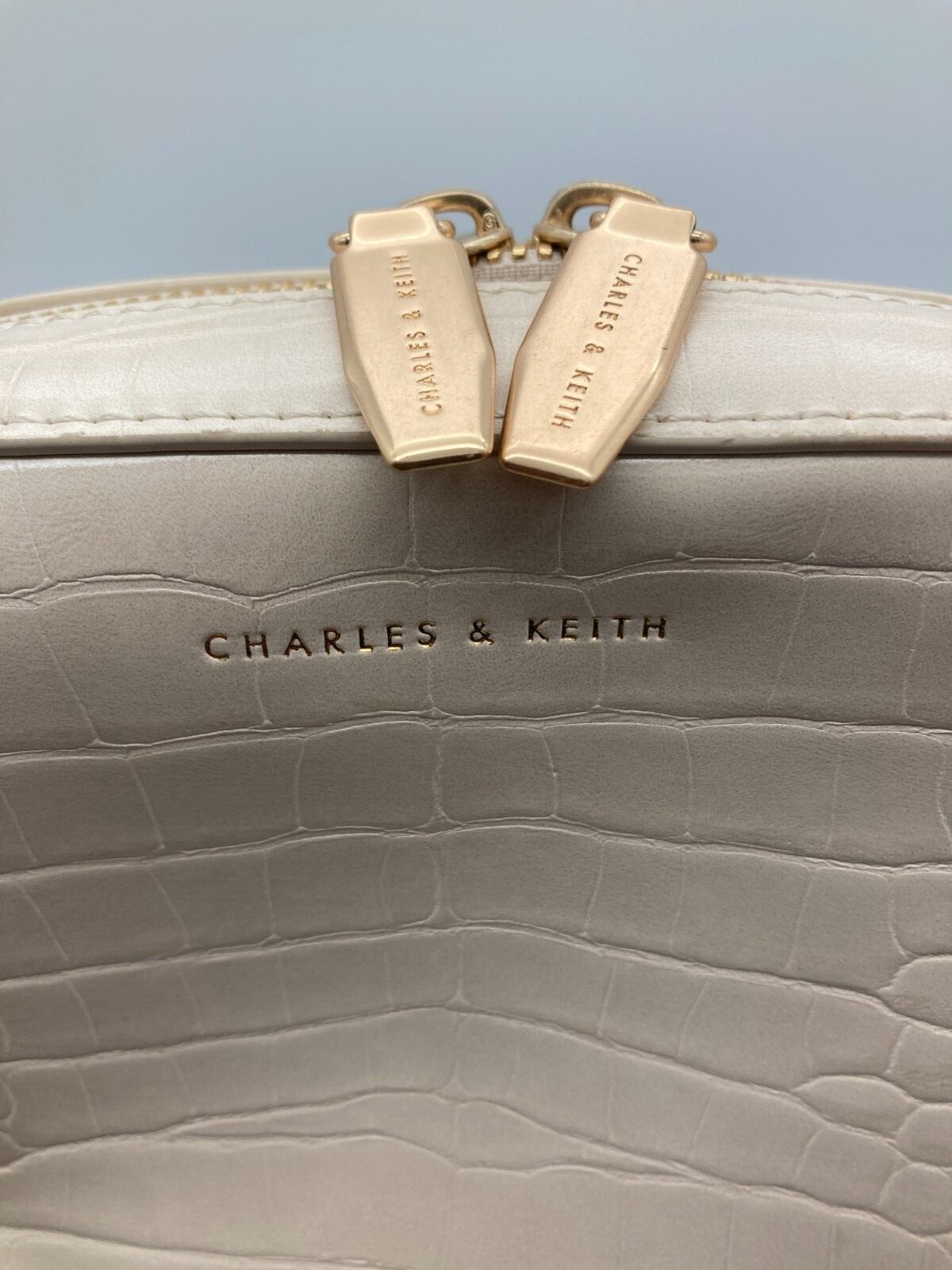 Charles and Keith women Cross body purse bag, adjustable strap, never used! 🔥
