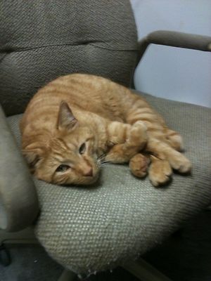 Ammco 4000B Disc & Drum Brake Lathe Loaded w/ Adapters and Tooling