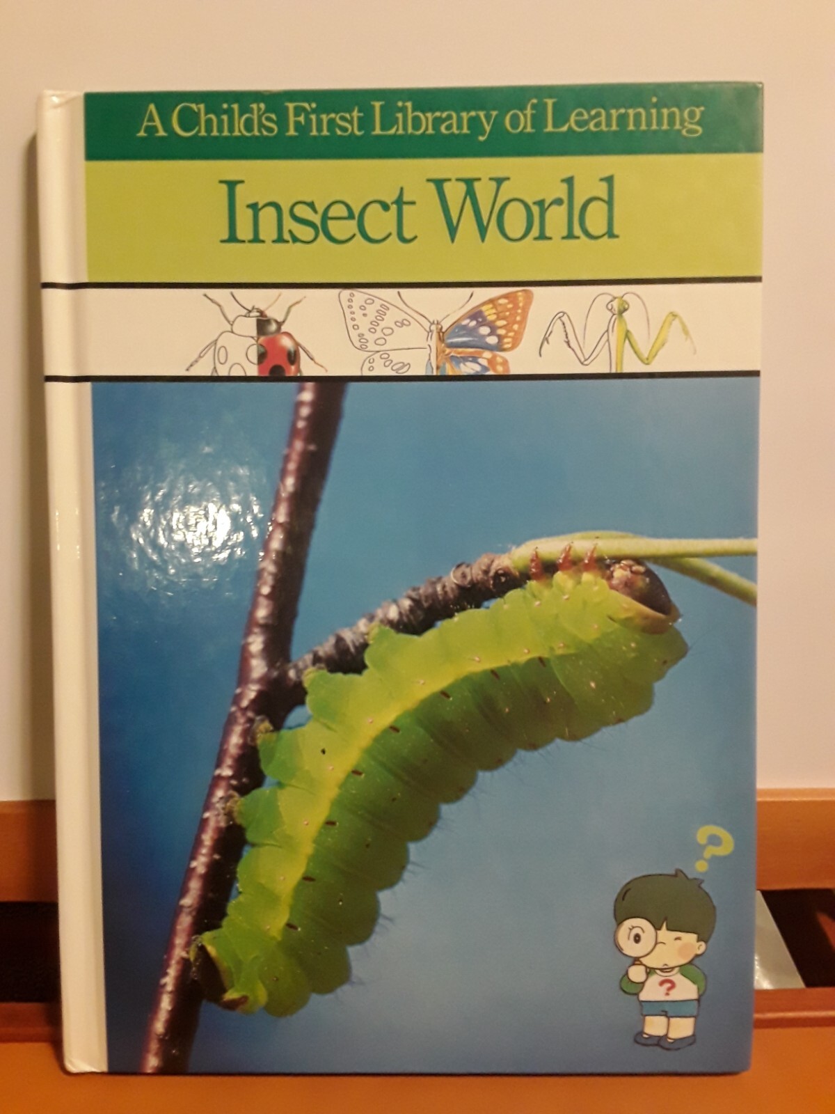 Insect World (A Childs First Library of Learning) by C. E.