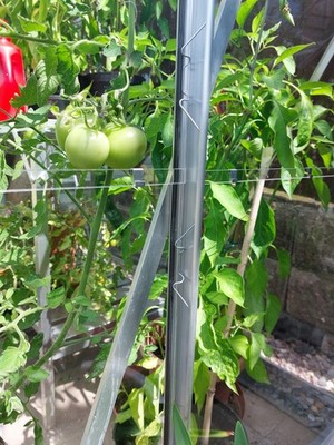 Artikelfoto(s) von einem verifizierten Käufer