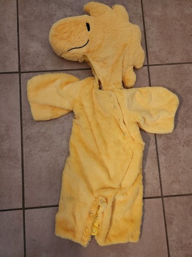 $_12.JPG?set_id=880000500F