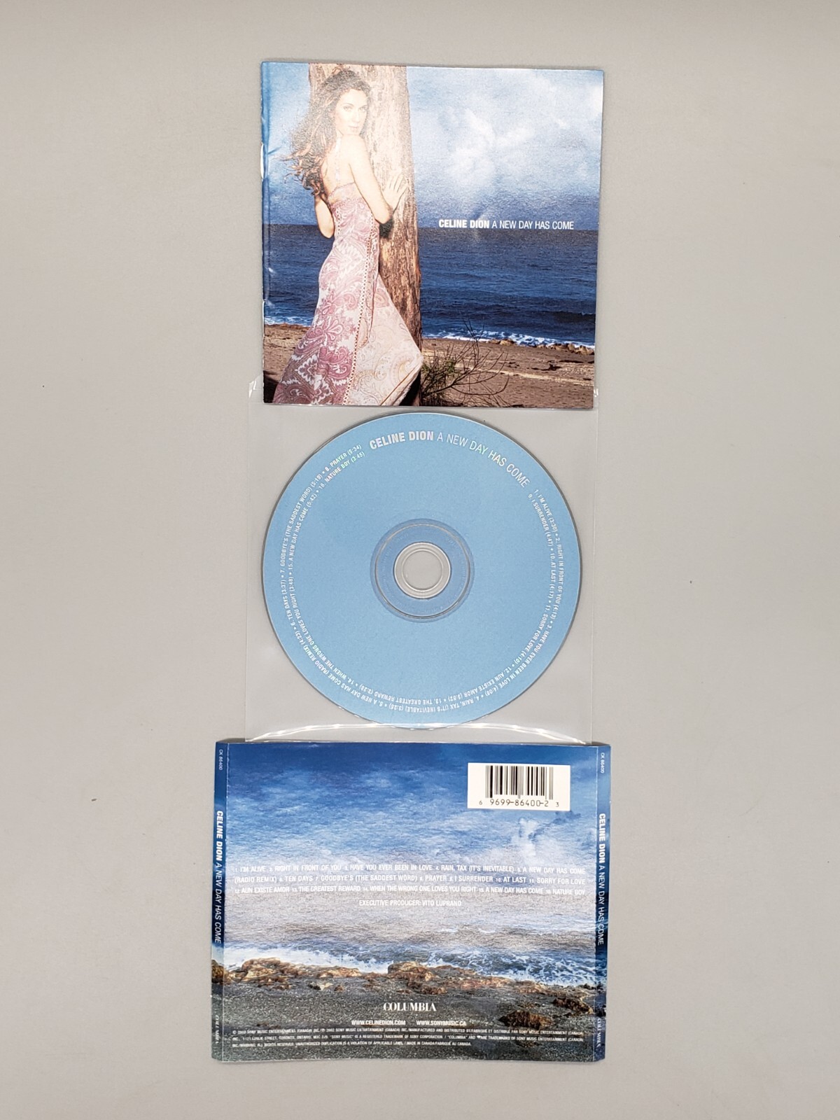 Селин дион a new day has. Celine dion a new day has come sacd.