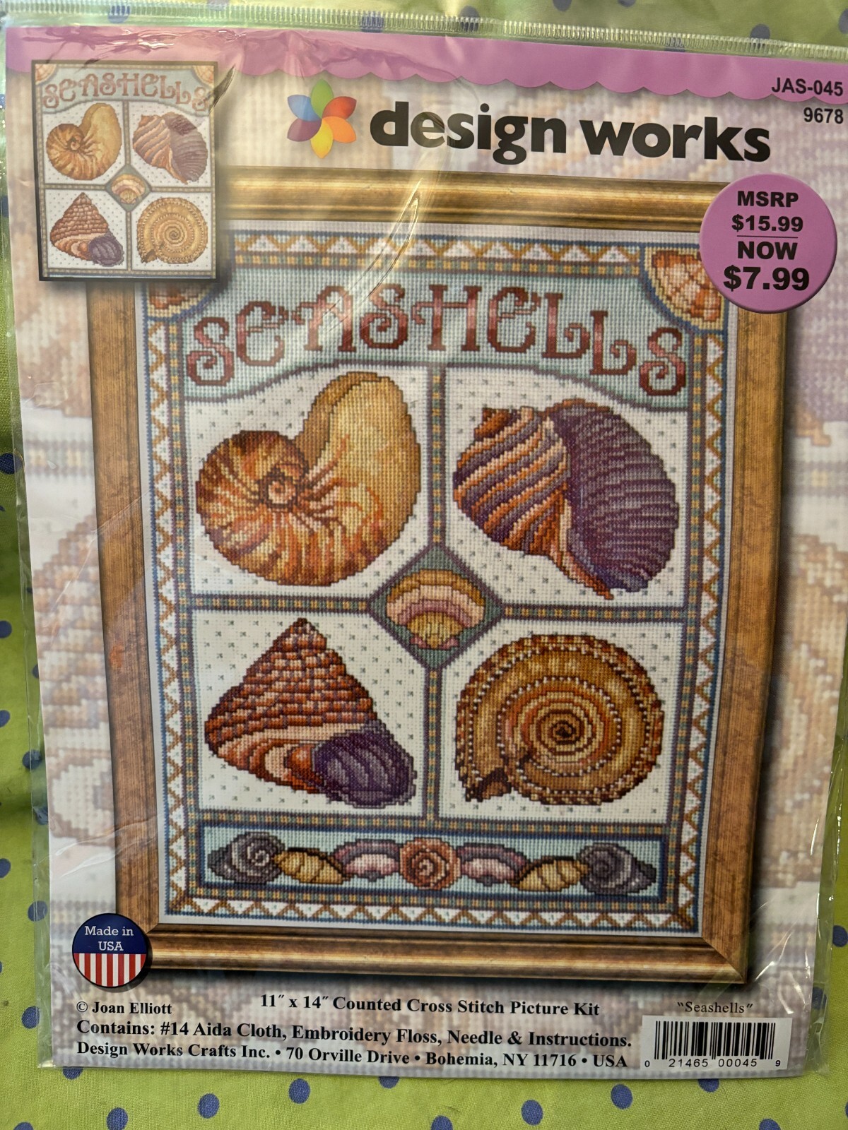 Sea Shell A beauty (JAS) Sea Shell A beauty (JAS)