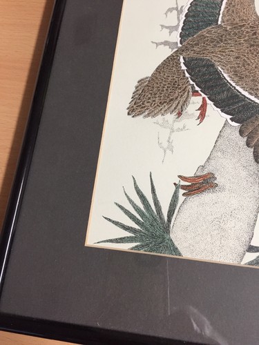 Daniel Rhodes Framed Art Signed 99/750  FRENCH DUCK FLAIR VTG 1984