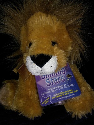 shining stars teddy