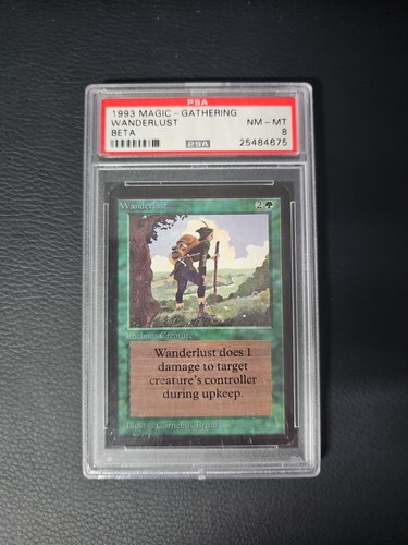 MTG 山 サマー PSA8 MTG 山 サマー PSA8 MTG Summer Magic SUMMER MAGIC JUMP PSA8