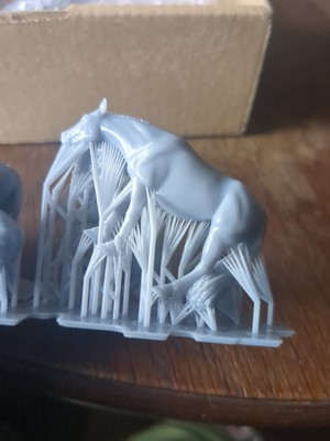 Fotos del artículo de un comprador verificado