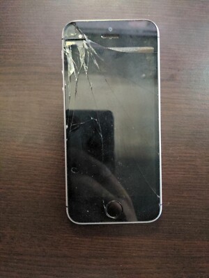 Apple iPhone SE - 16 GB - Gray (Unlocked)