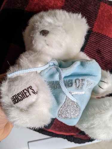 2001 Hershey's Kisses Thinking Of You White Teddy Bear Plush 6
