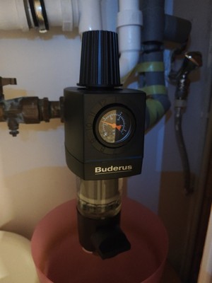 Fotos del artículo de un comprador verificado