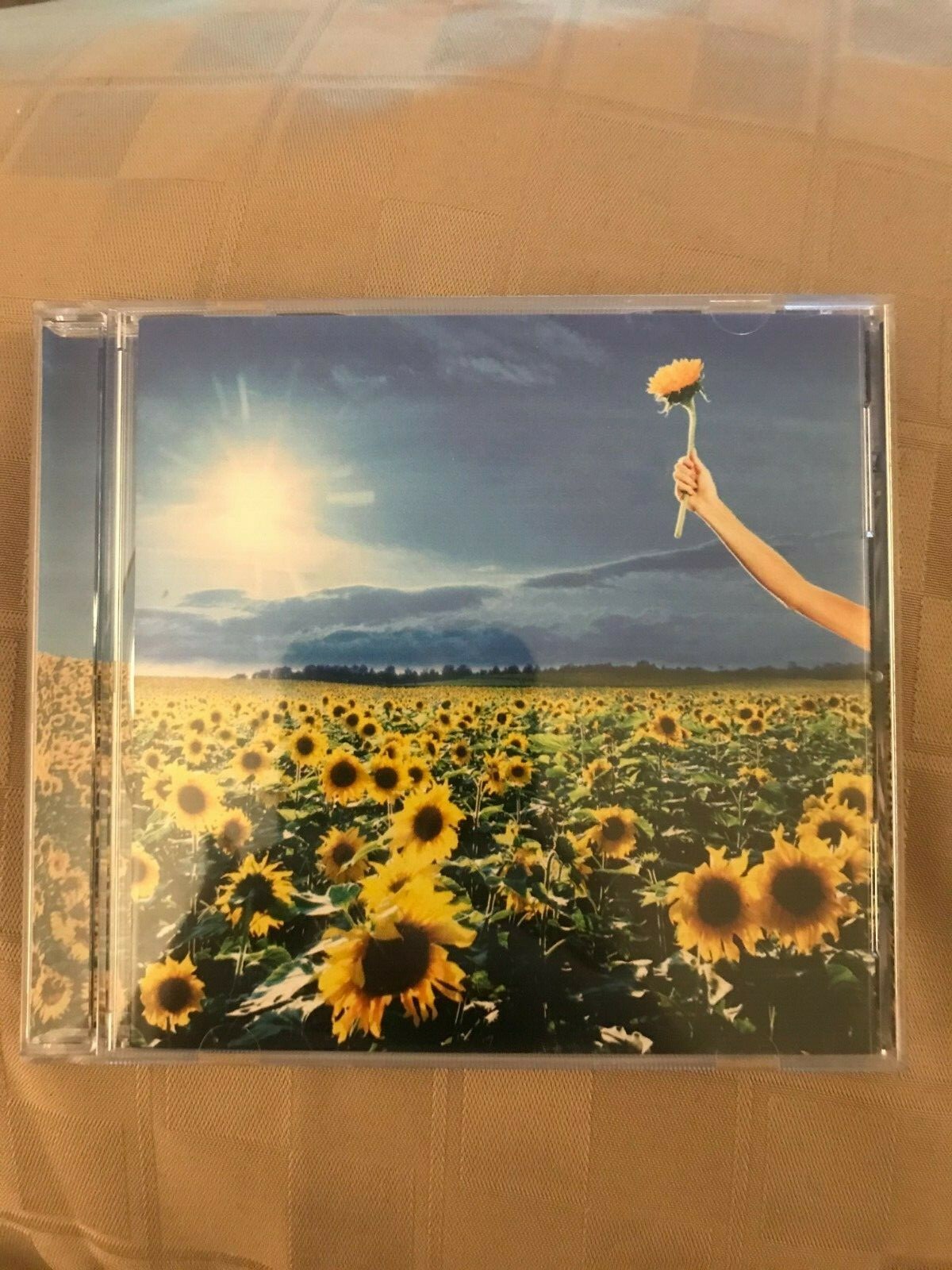 Stone Temple Pilots *Thank You *CD *NM/NM *Atlantic *REISSUE