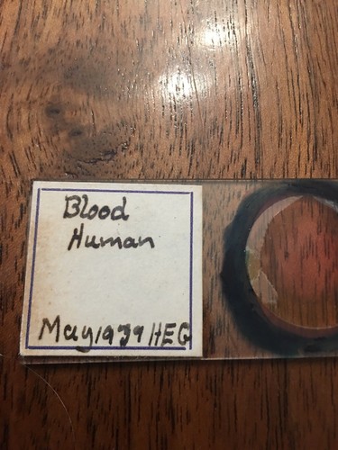1939 Real Human Blood Microscope Slide oddities skull bone Antique