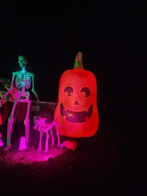 Objectfoto('s) van geverifieerde koper