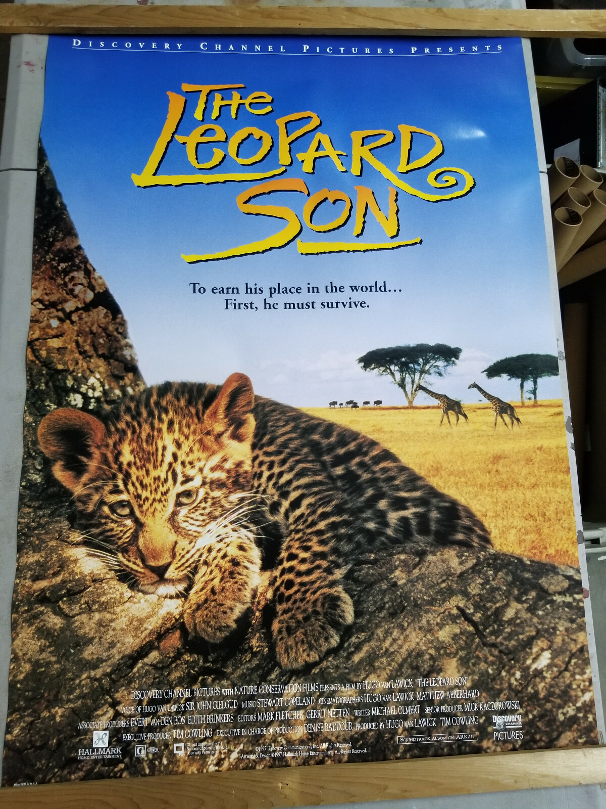 その他 Nature: Leopards & Lions [DVD] $_57.JPG?set_id=8800005007