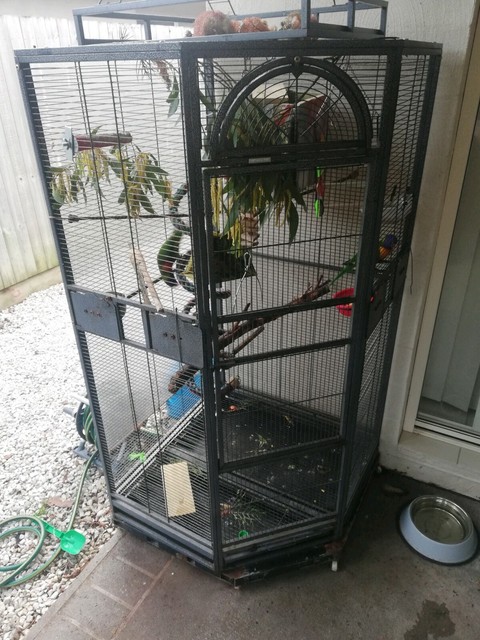 lorikeet cage