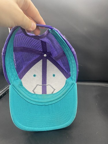 Patagonia Fitz Roy Hex Trucker Hat Cap green/ Purple Good Condition