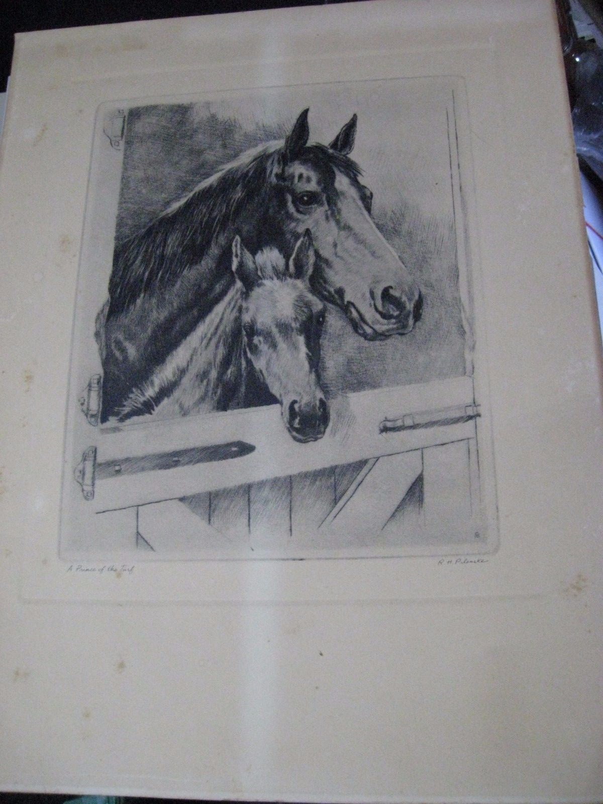 VTG Horse Racing Thoroughbred Filly REGRET RH Polenske Prince of the Turf print