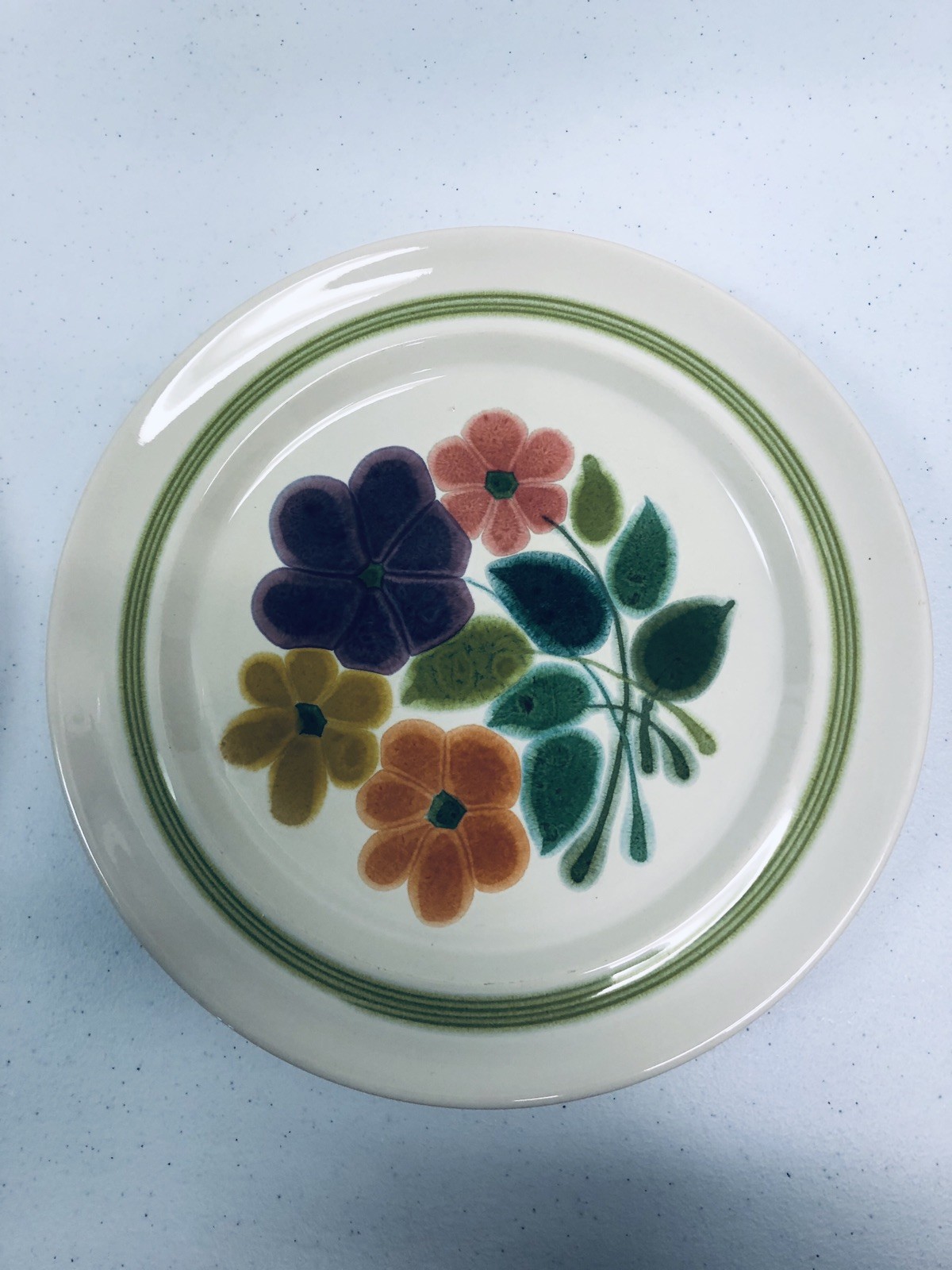 Franciscan Earthenware Interpace Floral Dinner Plates SET of 2 USA 70s Vtg MCM