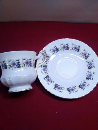 Antique Rosina Fine Bone China Teacup and Saucer Set (Made in England)