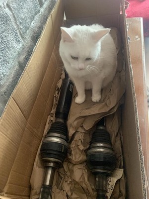 Objectfoto('s) van geverifieerde koper