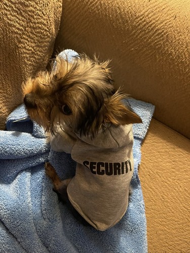 Fotos del artículo de un comprador verificado