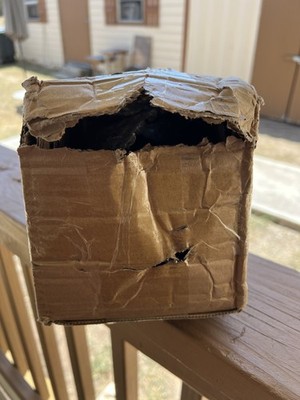 Item photo(s) from verified buyer