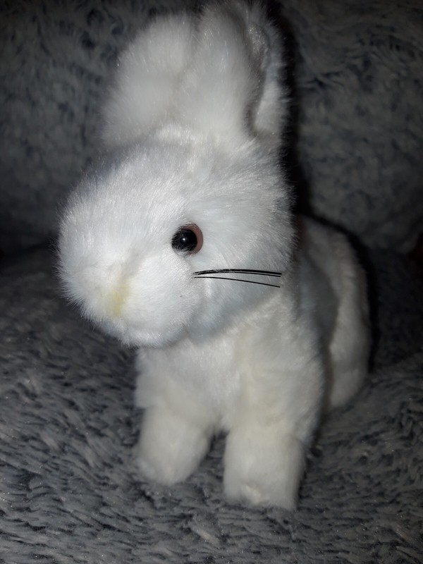 Pp1/ Petit Doudou Lapin Blanc Marque Semo H 15 Cm L 18cm Ttbe