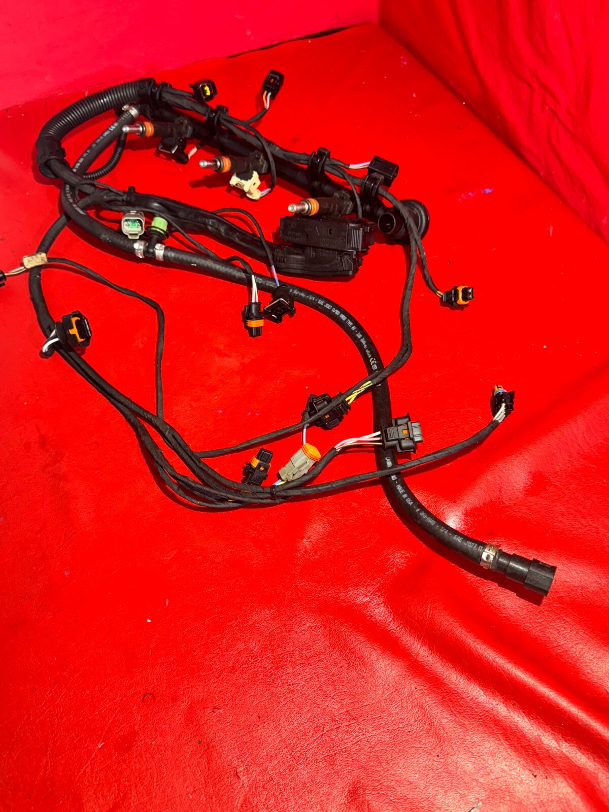 Picture 3