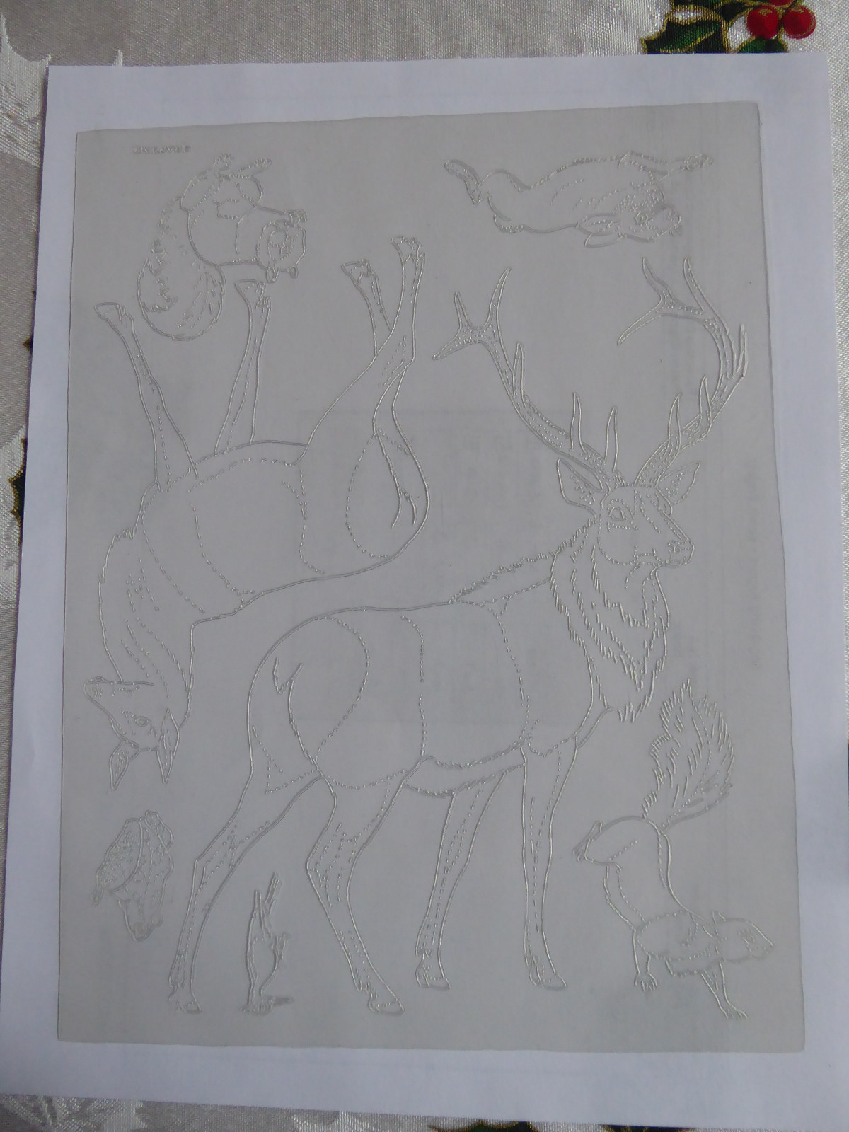 VINTAGE CRAFTOOL WILDLIFE TEMPLATE PAK STK #6008 -6 TEMPLATES OF ANIMALS & BIRDS