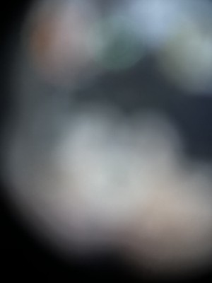 Photos de l'objet d'un acheteur vérifié