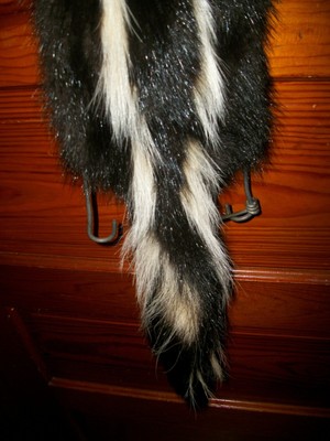 BEAUTIFUL tanned SKUNK 4 FEET CLAWS FUR PELT TAXIDERMY mount NO SMELL S1 cabin