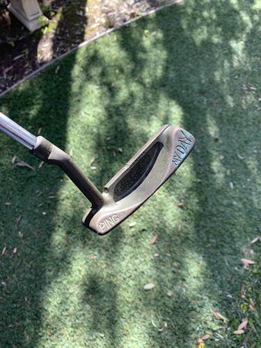 ping my day putter