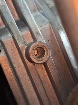 Fotos del artículo de un comprador verificado