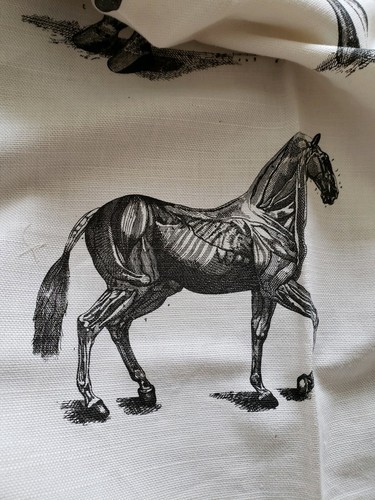 GASTON y DANIELA / BRUNSCHWIG Fabric Remnant - HORSES - 63