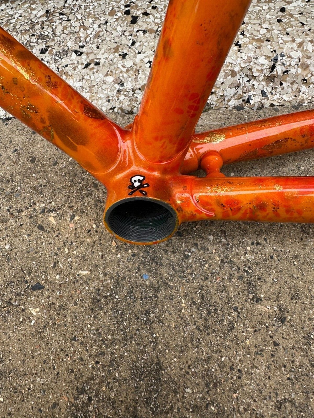 Rare Land Shark Steel Lugged 56cm&nbsp; Road Frame with Fork and stem.