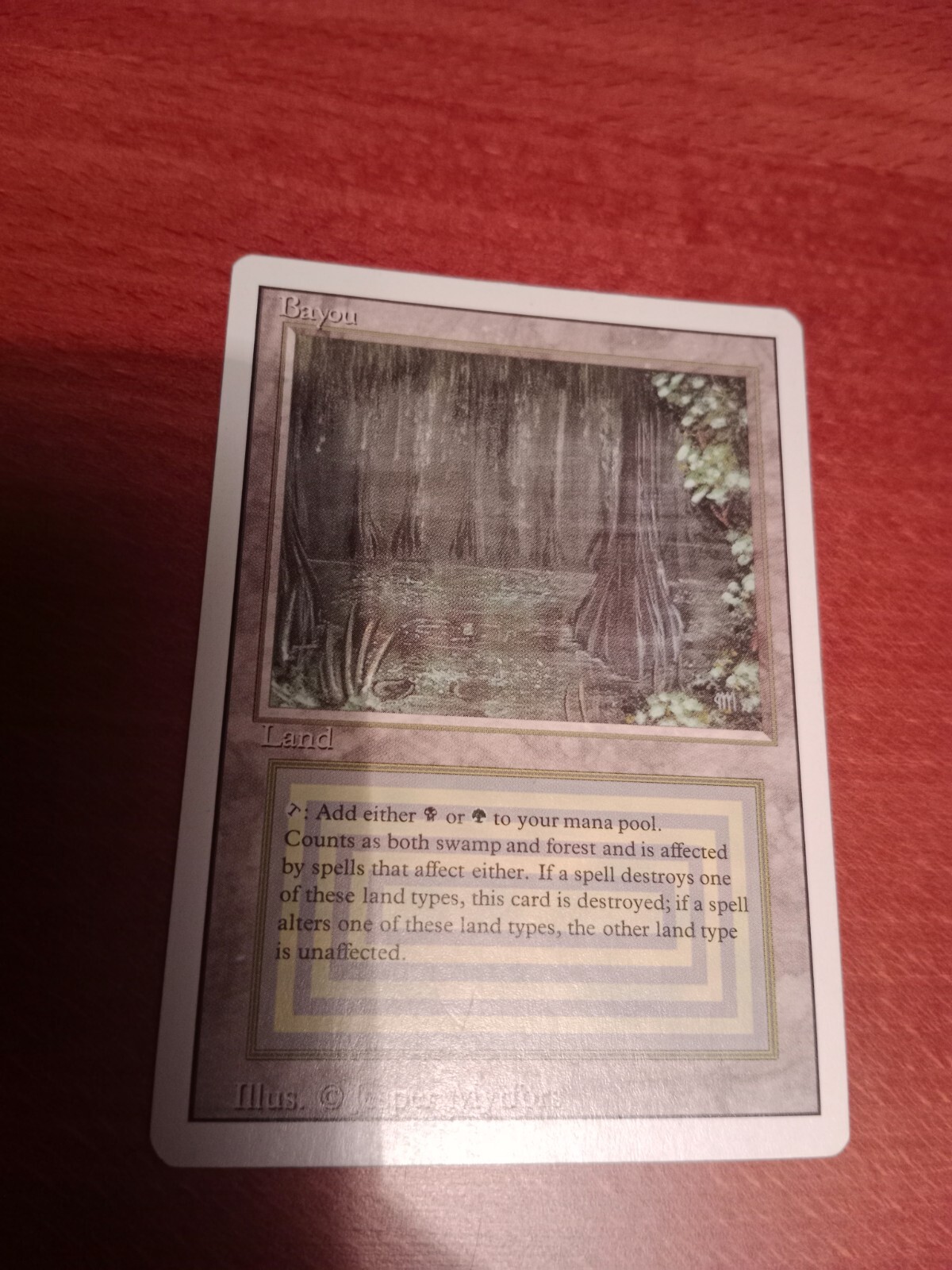 Bayou 【3ED】 Magic the Gathering 3rd Ed Revised Bayou LIGHTLY PLAYED (LP