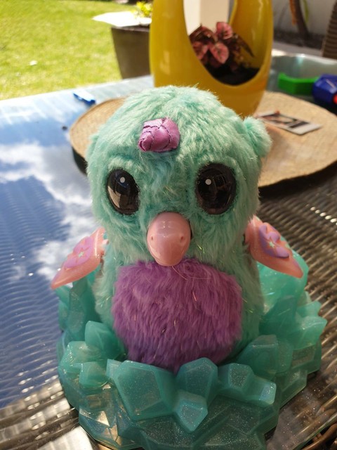 toothless hatchimal australia