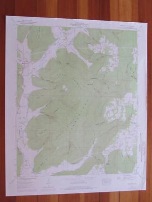 Princeton Alabama 1977 Original Vintage USGS Topo Map