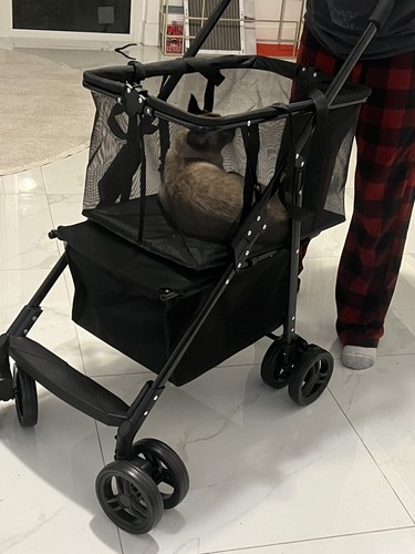 Fotos del artículo de un comprador verificado