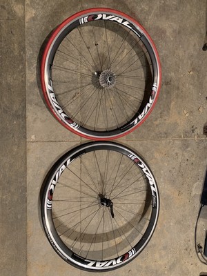 oval concepts 344
