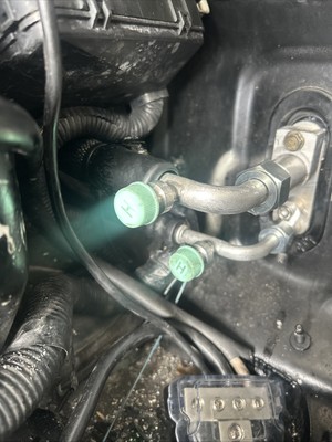 Photos de l'objet d'un acheteur vérifié