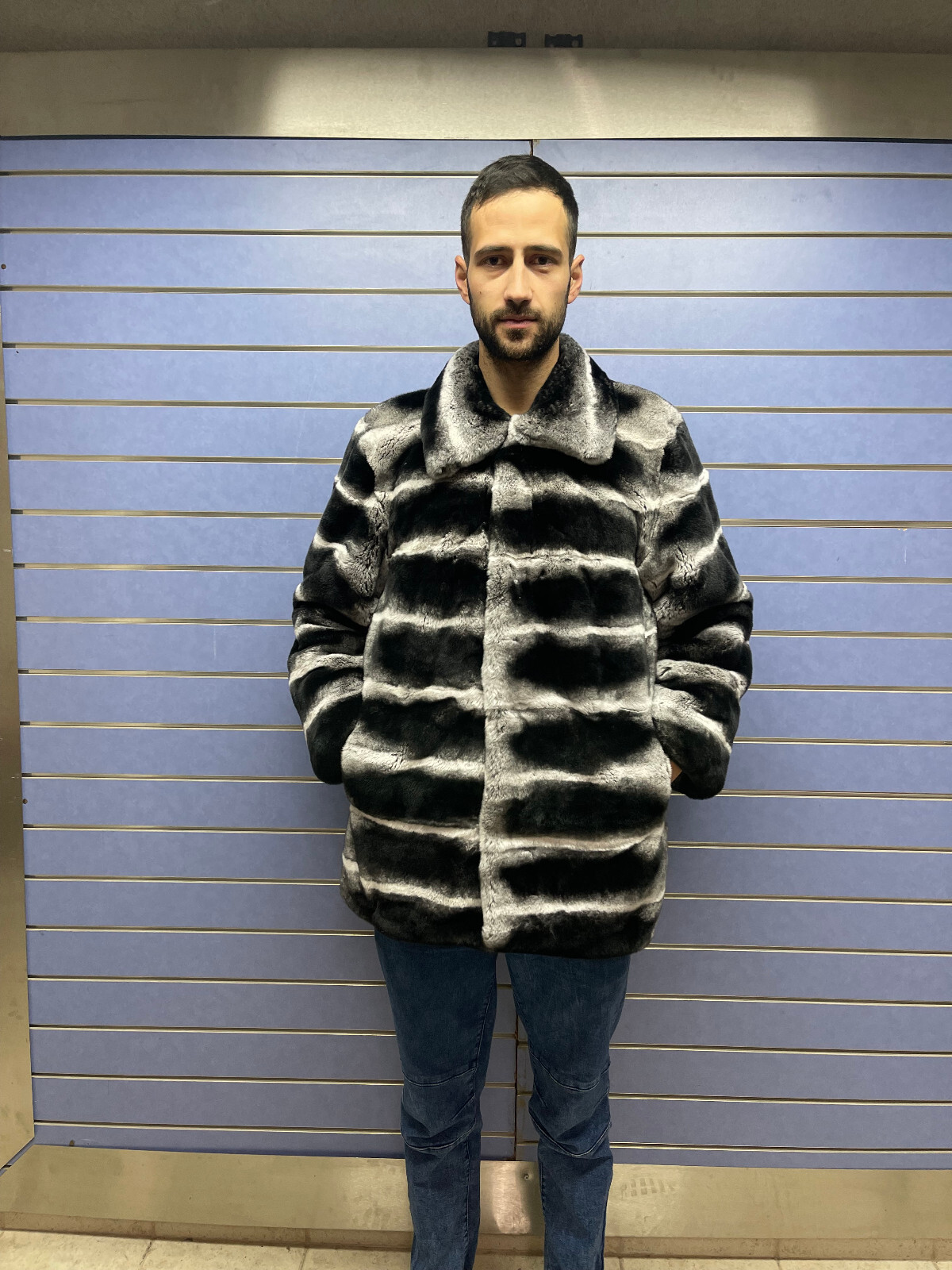 Pre-owned Fenzo Furs Luxury Rex Chinchilla Coat Real Rex Rabbit Fur Full Skin Coat With Collar In Multicolor