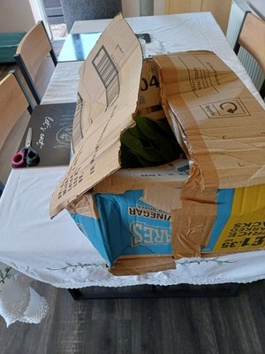 Foto dell'oggetto di un acquirente verificato