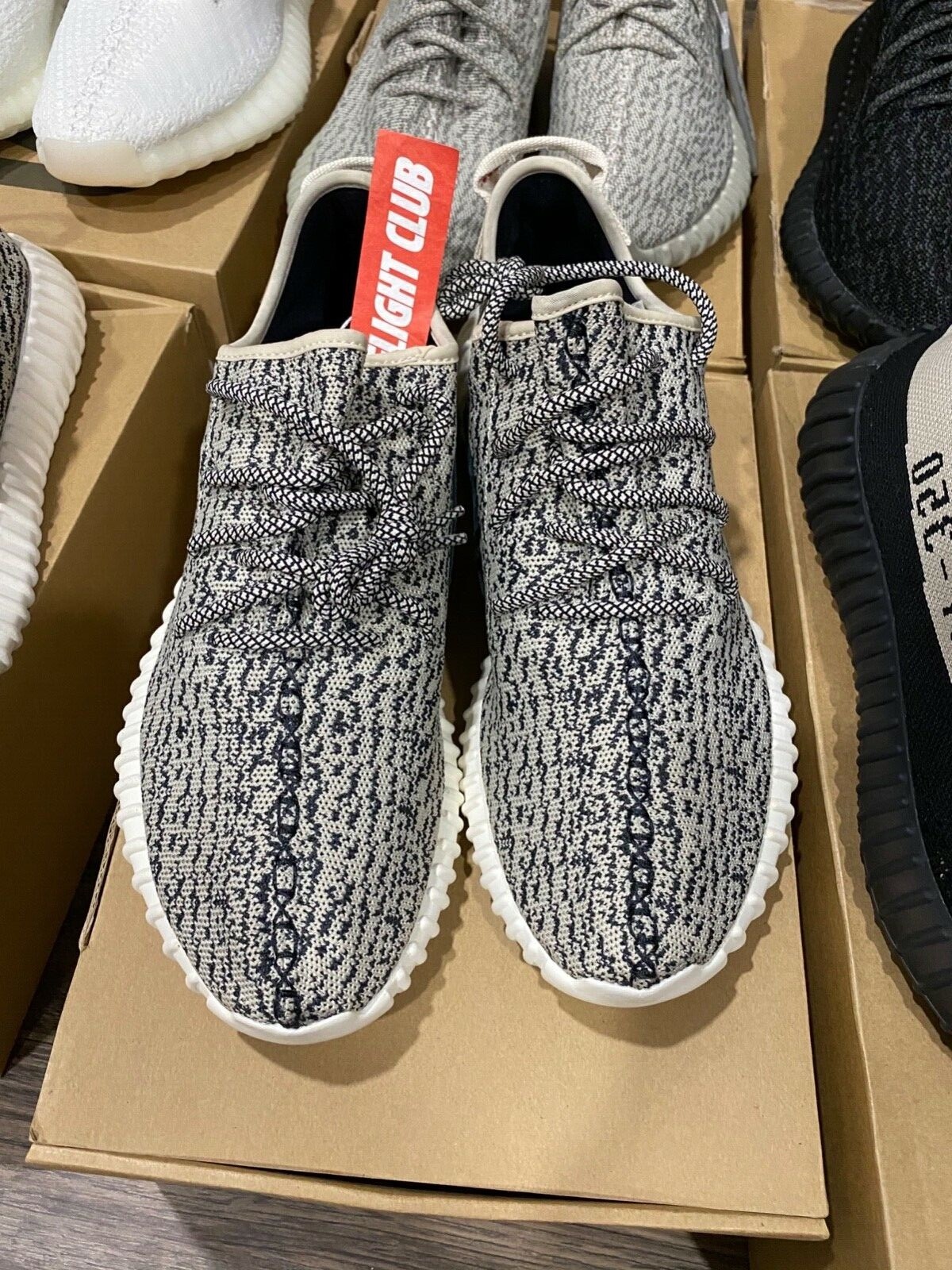 Adidas Yeezy Boost 350 Turtle Dove Gray 