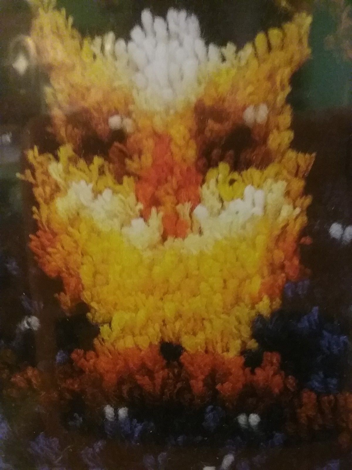 Hoot The Owl Latch Hook Kit Wonder Art Caron