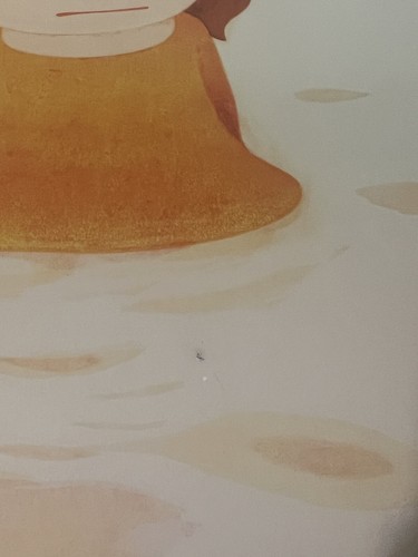 Artikelfoto(s) von einem verifizierten Käufer